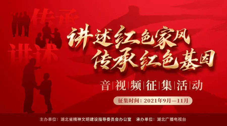 当猫把心爱的鸟吃了该怎么办？